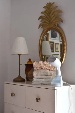 Défroisseur Portatif - EUTR14W