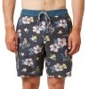 Boardshort Kaimana Hybrid Trunk - Homme -Vêtements De Mode Katin Kaimana Trunk Black 10